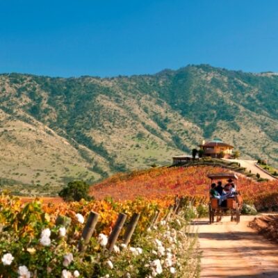 Wine Route: 3 Valleys